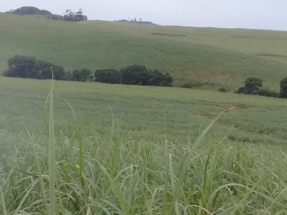 Land in Dolphin Coast, KwaZulu-Natal, South Africa 2 - 17253161