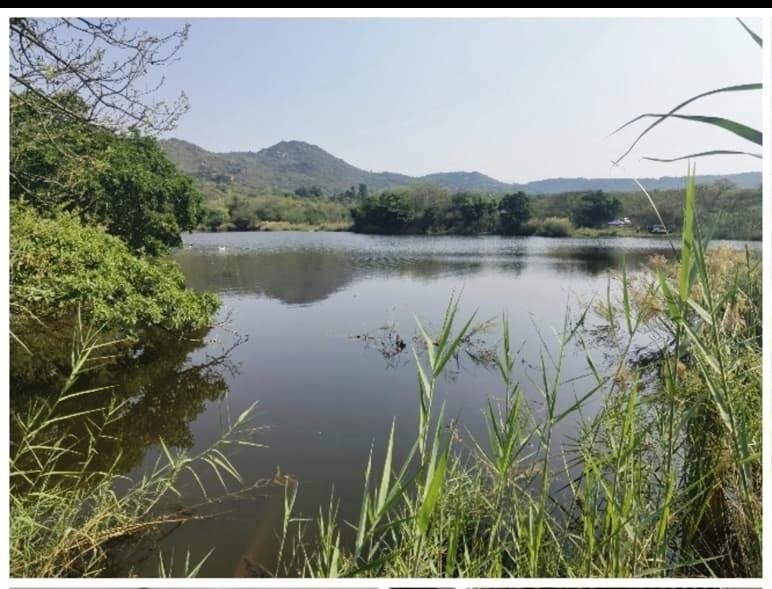 Farm Ranch in Mbombela, Mpumalanga, South Africa 2 - 17251293