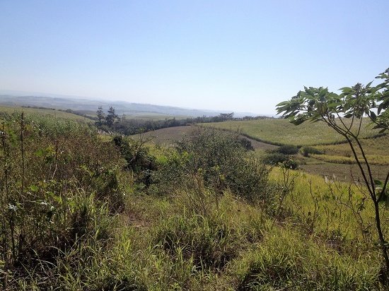 Land in Dolphin Coast, KwaZulu-Natal, South Africa 2 - 17253166