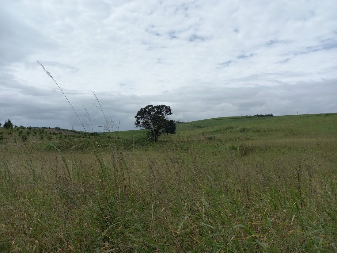 Farm Ranch in Dolphin Coast, KwaZulu-Natal, South Africa 1 - 17252905