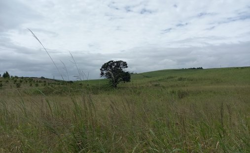 Farm Ranch in Dolphin Coast, KwaZulu-Natal, South Africa 1