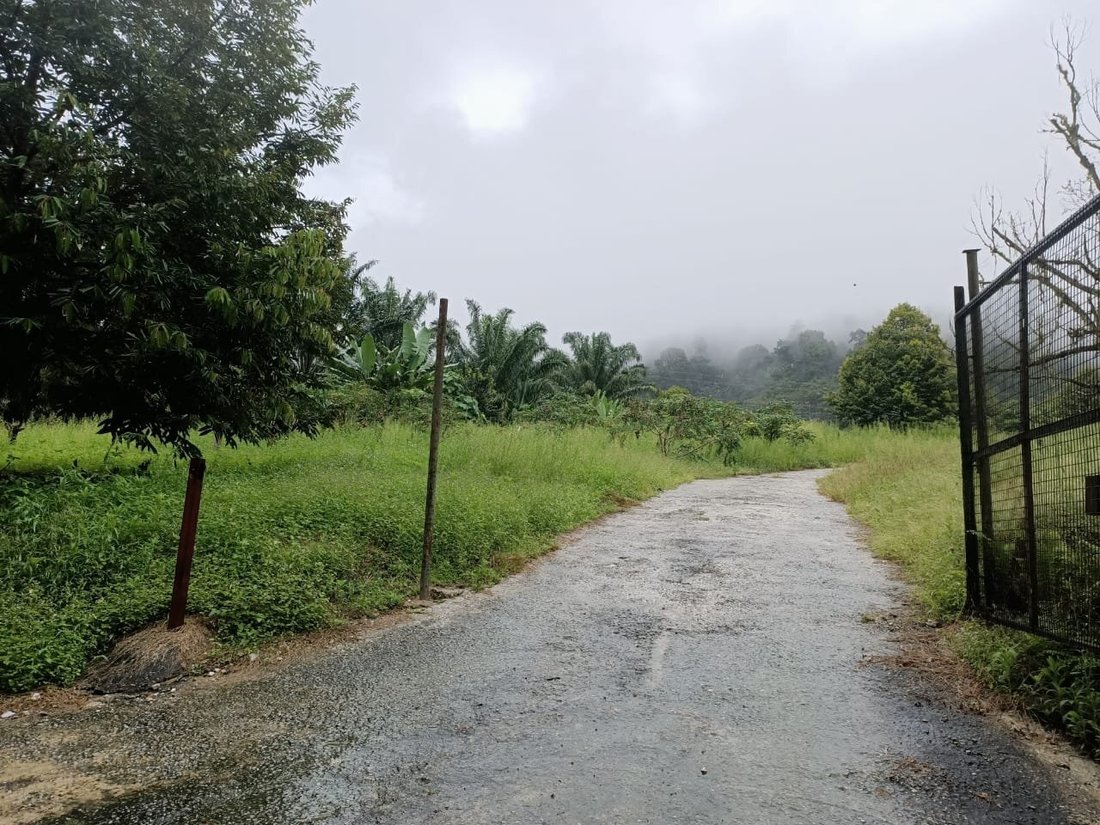 Tapah, Perak, Malaysia 3 - 17251606