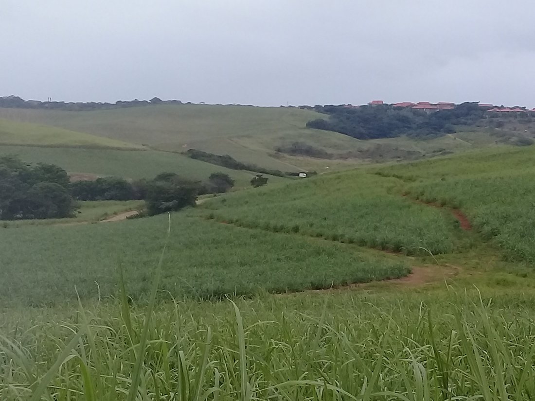 Land in Dolphin Coast, KwaZulu-Natal, South Africa 1 - 17253161