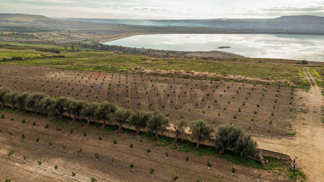 Land in Lentini, Sicily, Italy 4 - 17256415