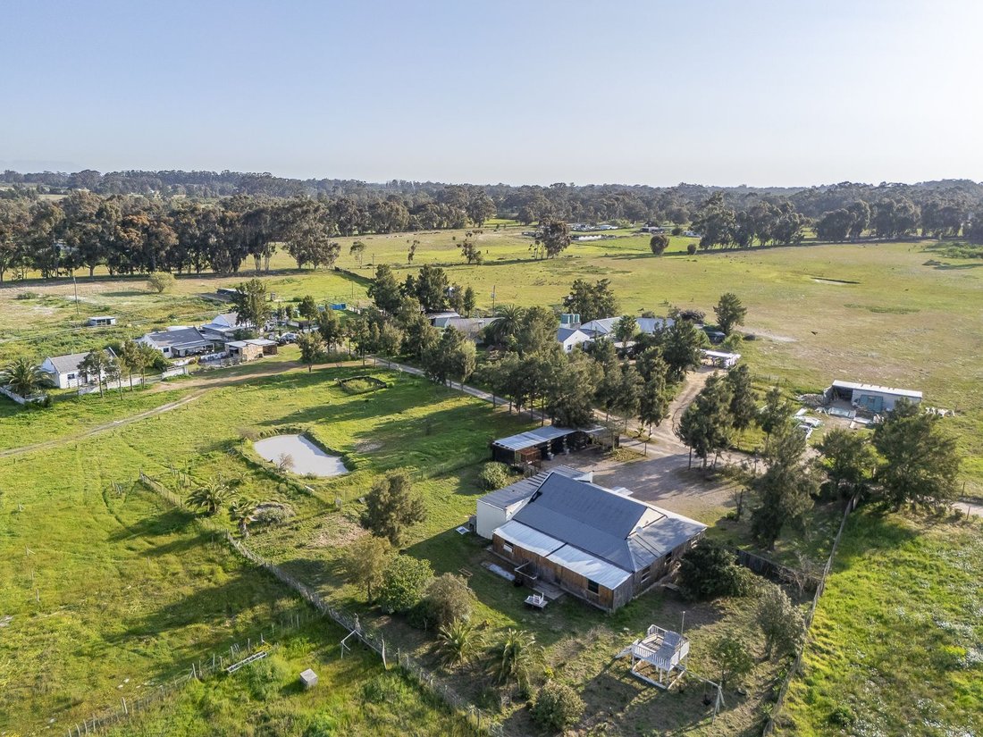 Farm Ranch in Johannesburg, Gauteng, South Africa 3 - 17250961