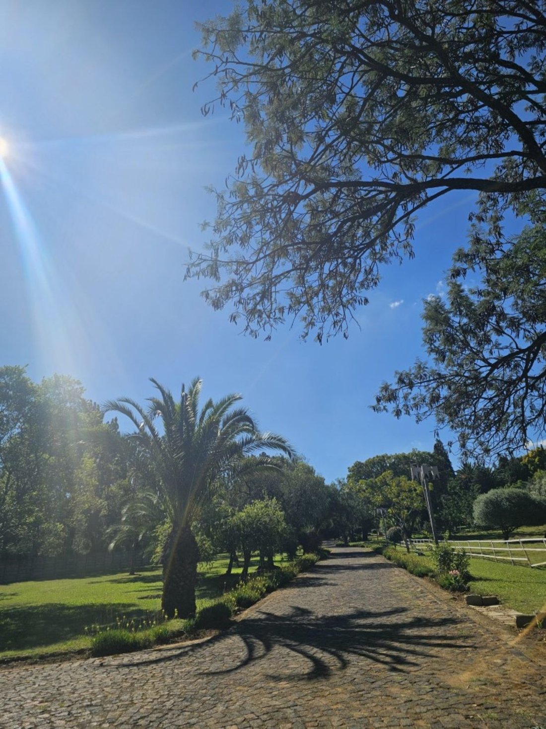 Maison à Rispark, Gauteng, Afrique du Sud 4 - 17252733
