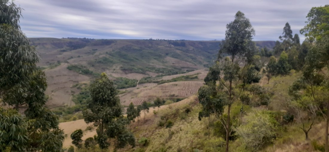 Farm Ranch in Dolphin Coast, KwaZulu-Natal, South Africa 1 - 17252961