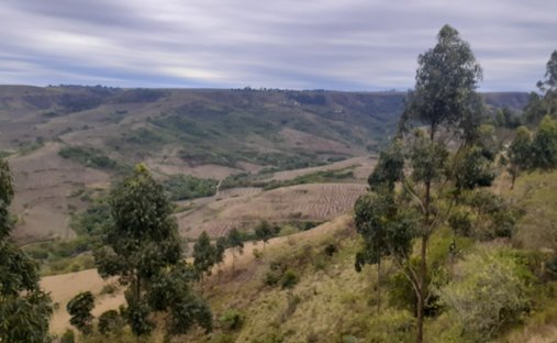 Azienda agricola a Ballito, KwaZulu-Natal, Sudafrica 1