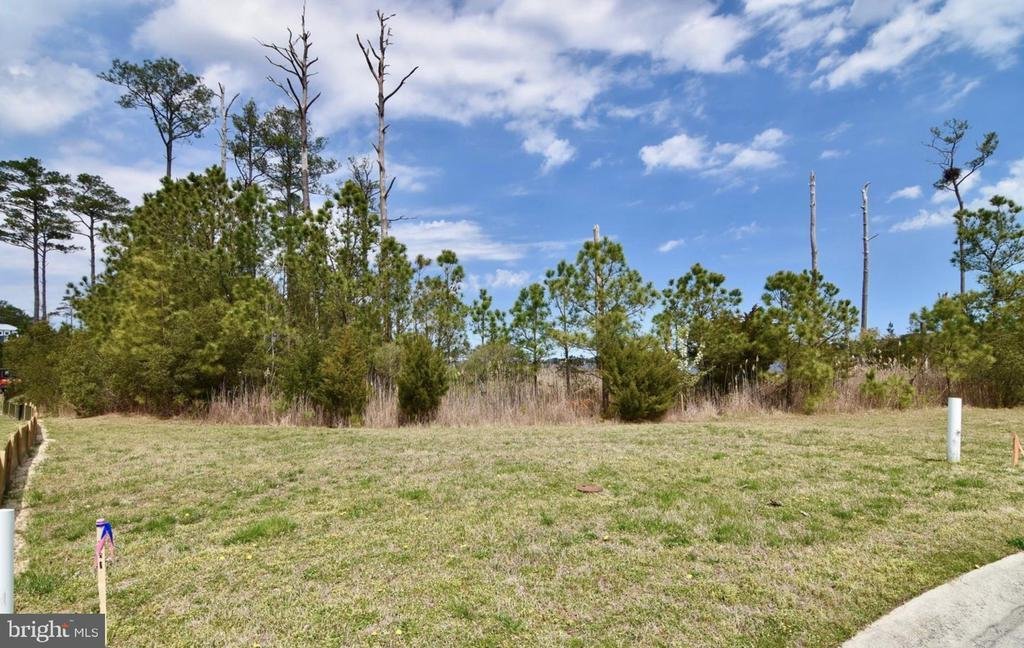Land in Berlin, Maryland, United States 3 - 17249682
