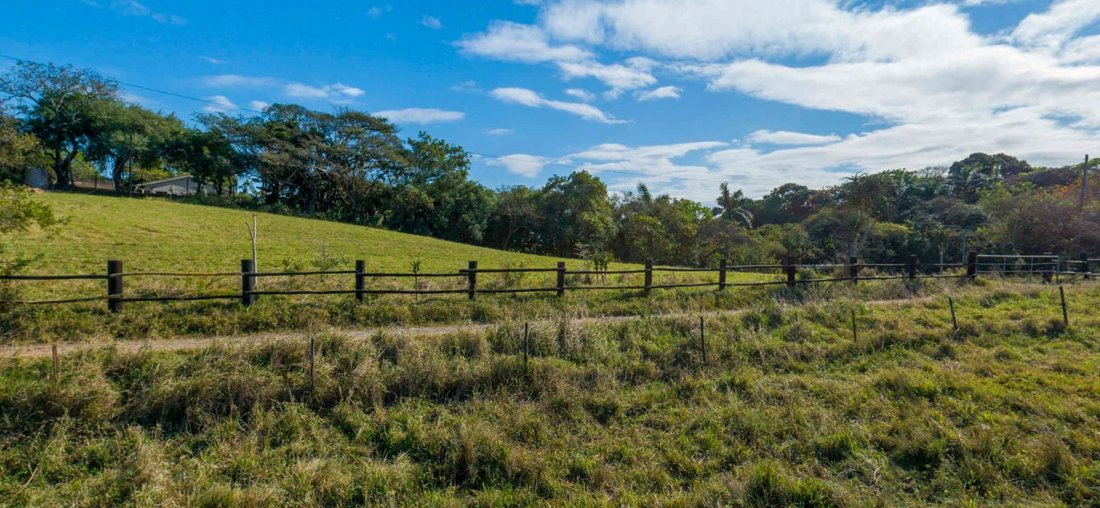 Land in Johannesburg, Gauteng, South Africa 4 - 17249956