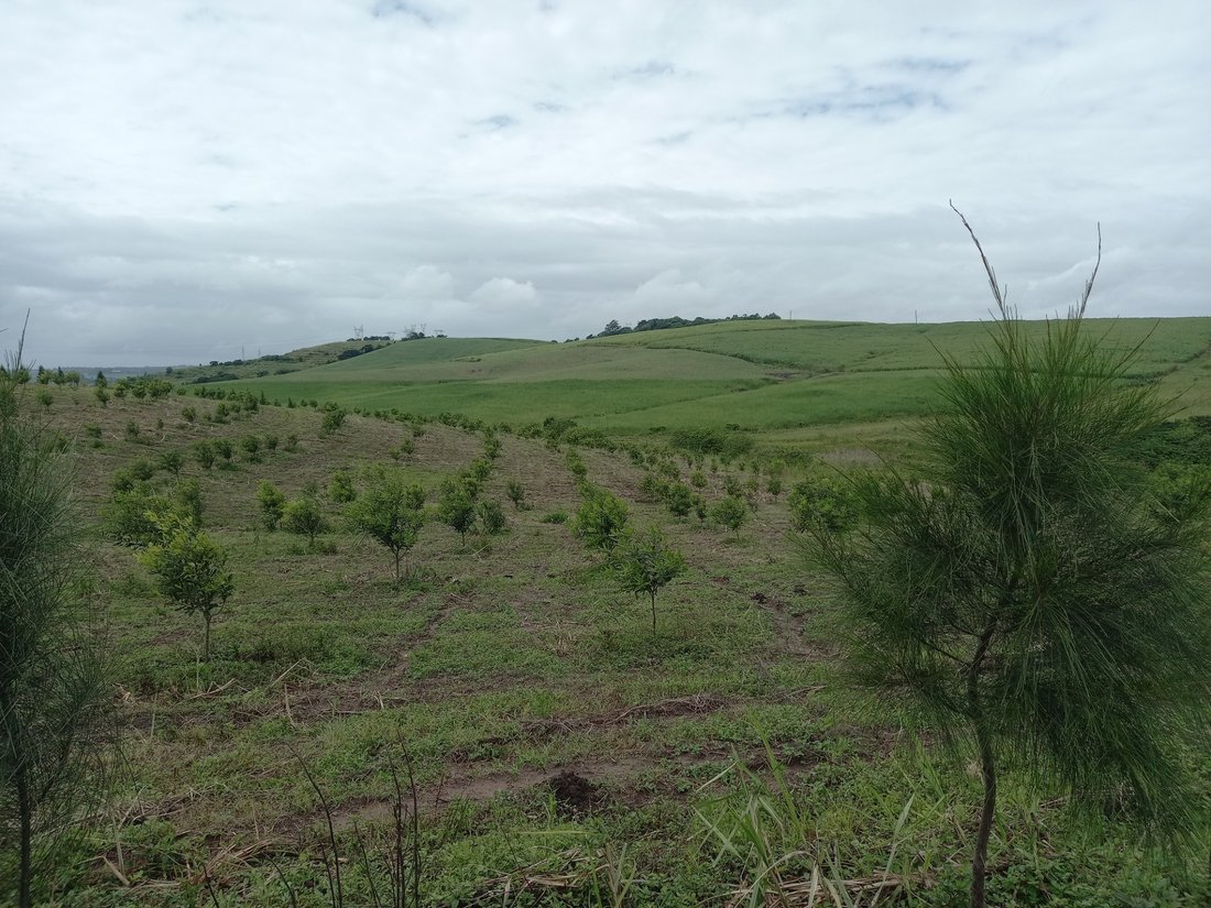 Farm Ranch in Dolphin Coast, KwaZulu-Natal, South Africa 2 - 17252905