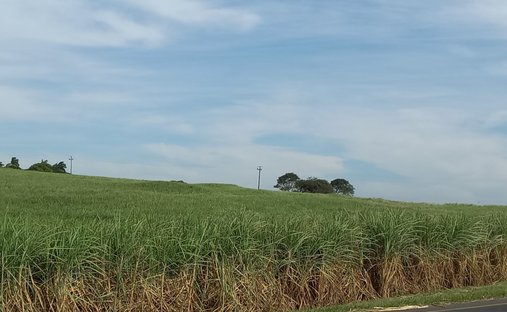 Farm Ranch in Johannesburg, Gauteng, South Africa 1