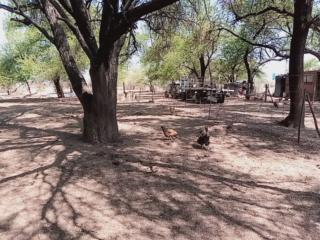 Farm Ranch in Braamfontein, Gauteng, South Africa 1 - 17252597