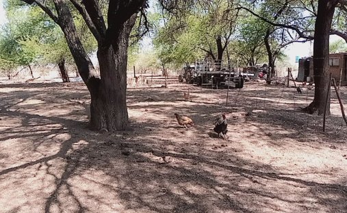 Farm Ranch in Lichtenburg, North West, South Africa 1