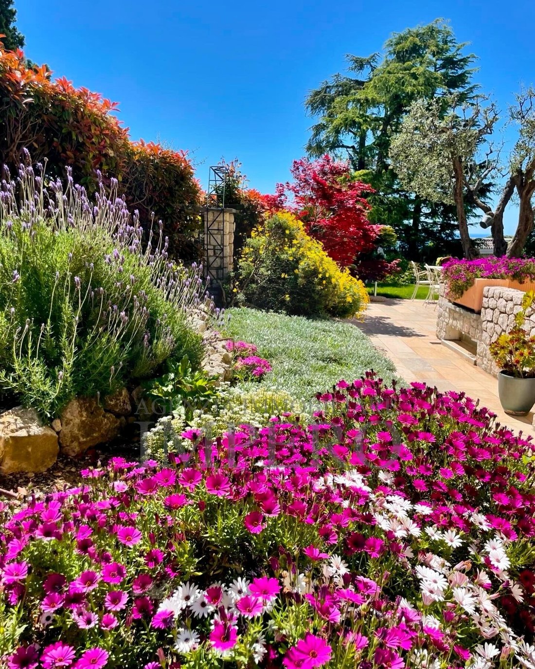Villa in Bordighera, Liguria, Italy 5 - 17254310
