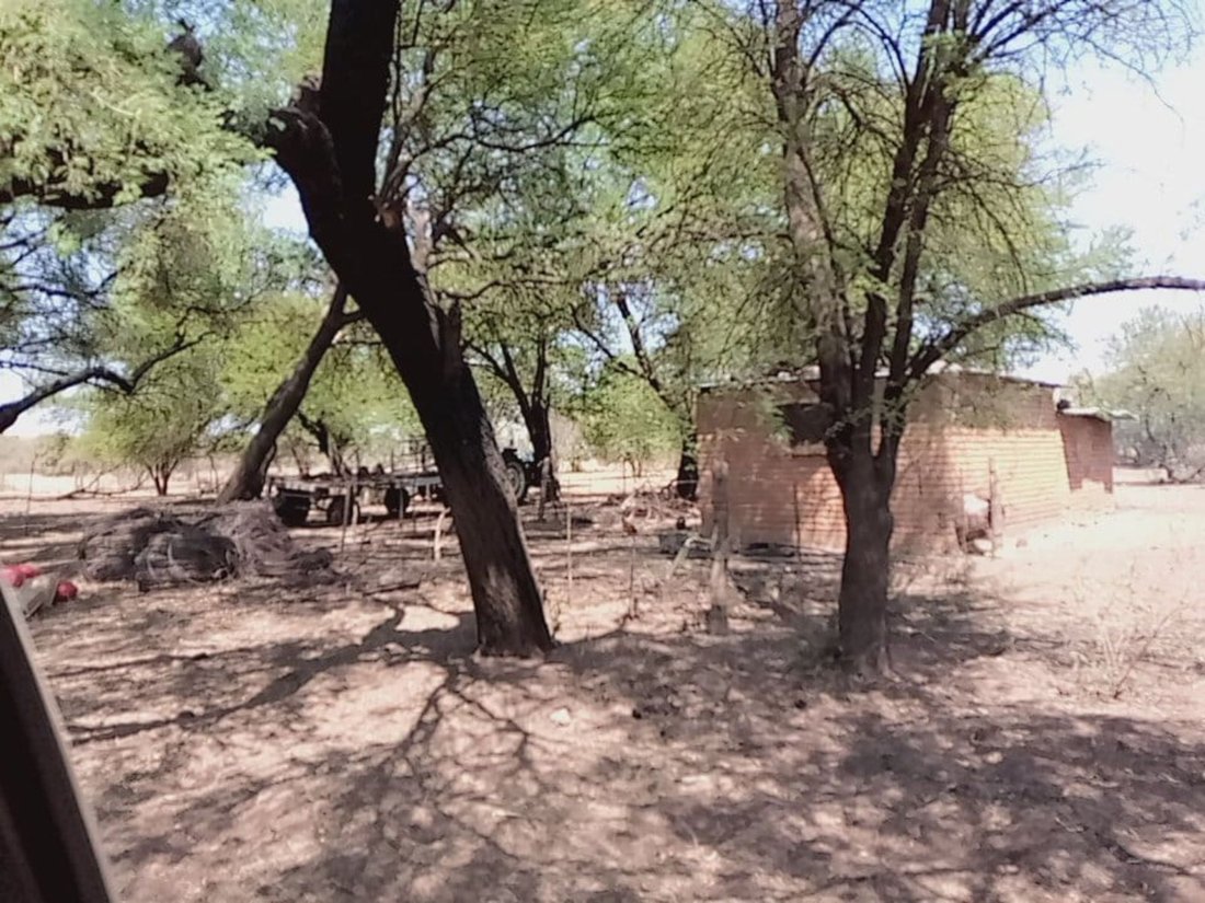 Farm Ranch in Braamfontein, Gauteng, South Africa 2 - 17252597