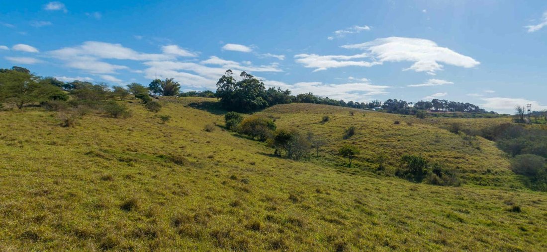 Land in Johannesburg, Gauteng, South Africa 4 - 17250130