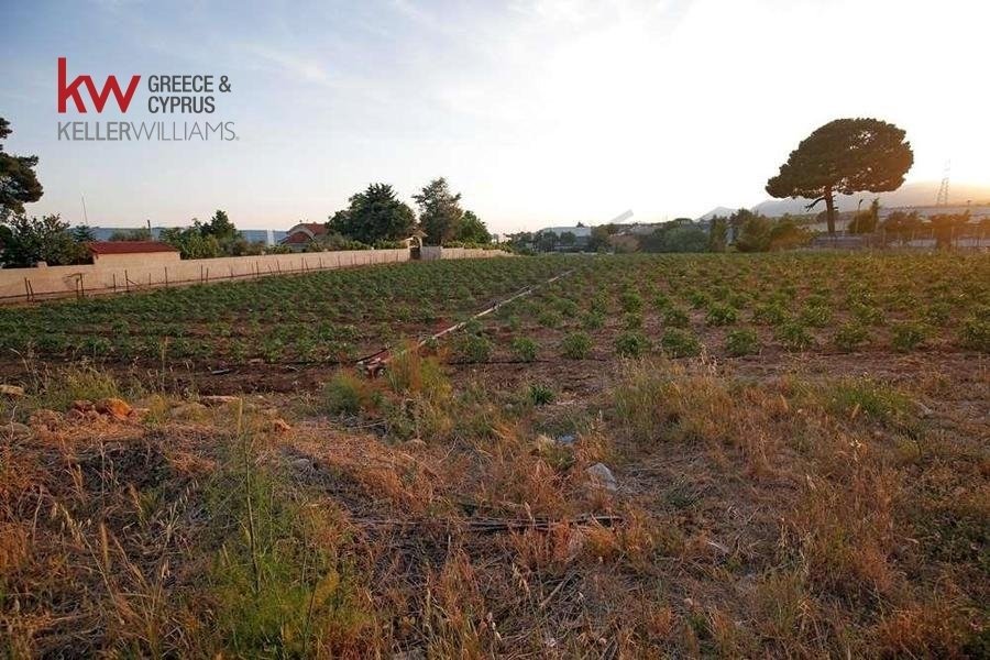 Land in Kryoneri Municipal Unit, Attica, Greece 2 - 17249936