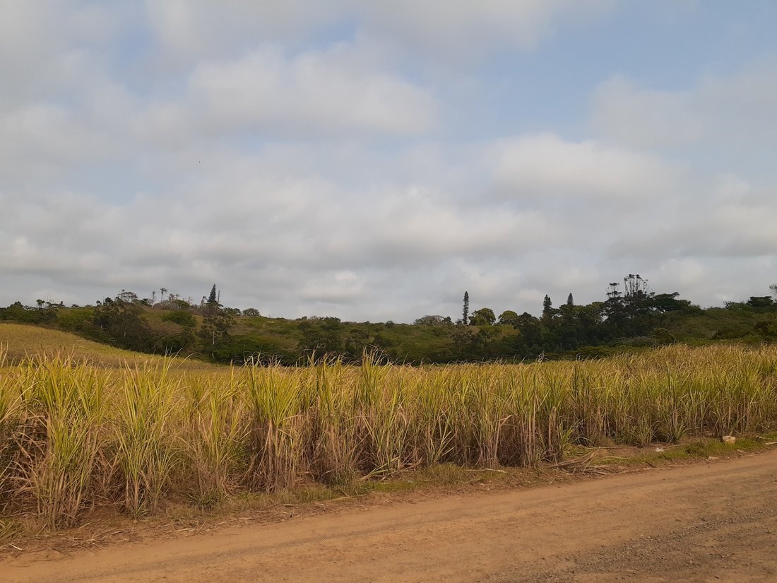 Land in Dolphin Coast, KwaZulu-Natal, South Africa 3 - 17253161