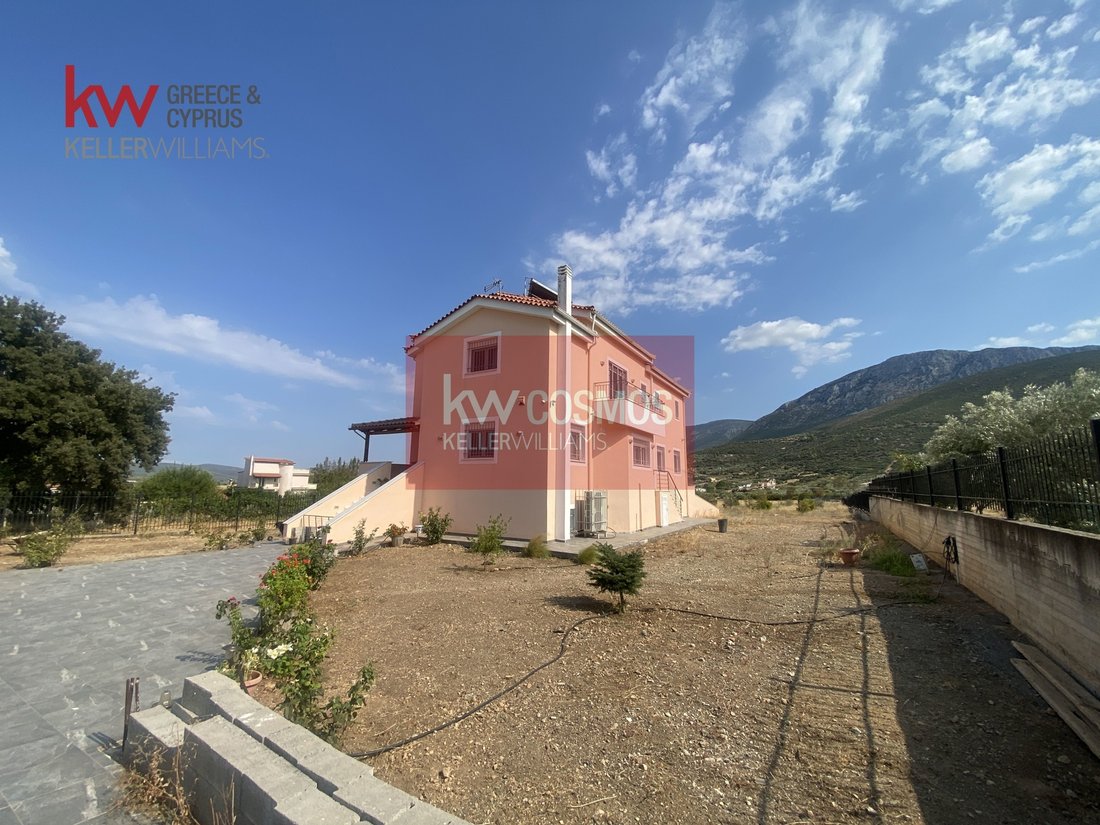 House in Oropos, Attica, Greece 1 - 17249637