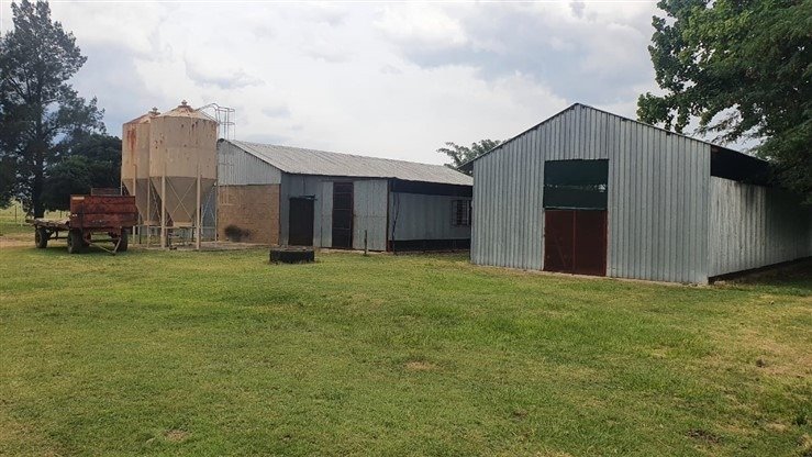 Farm Ranch in Dundee, KwaZulu-Natal, South Africa 1 - 17253029