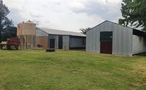 Farm Ranch in Dundee, KwaZulu-Natal, South Africa 1