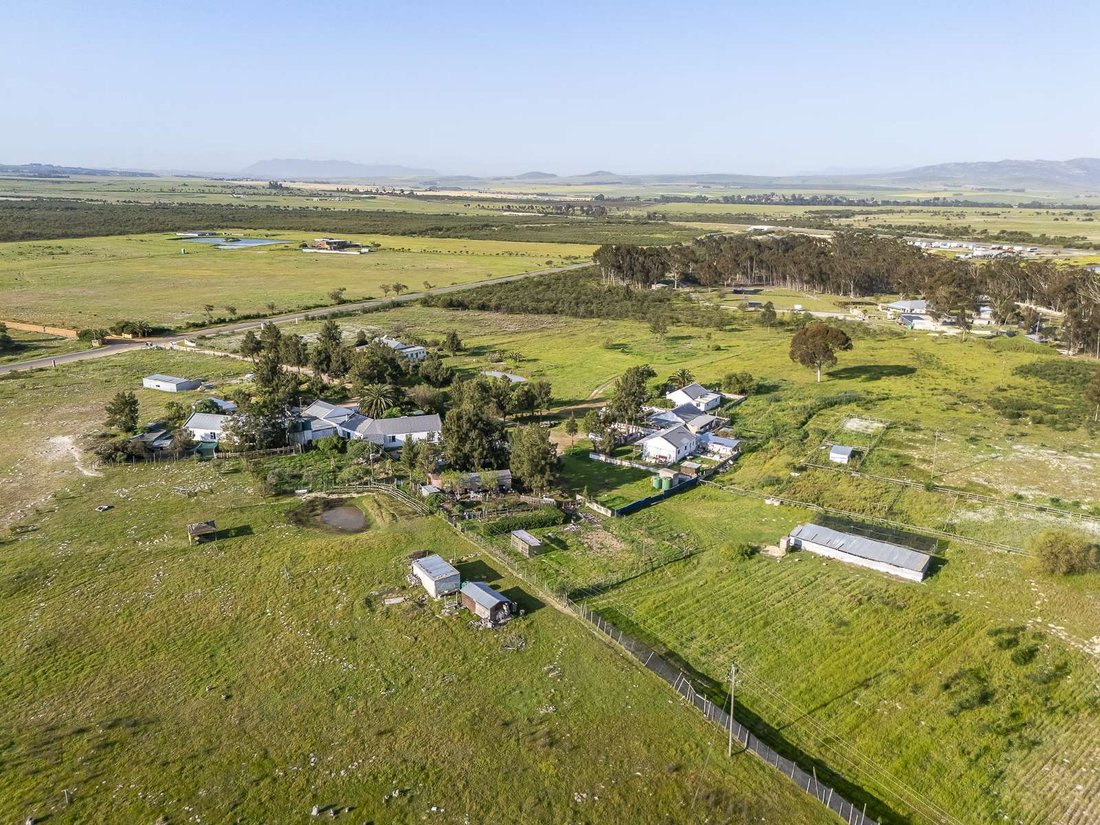 Farm Ranch in Johannesburg, Gauteng, South Africa 1 - 17250961