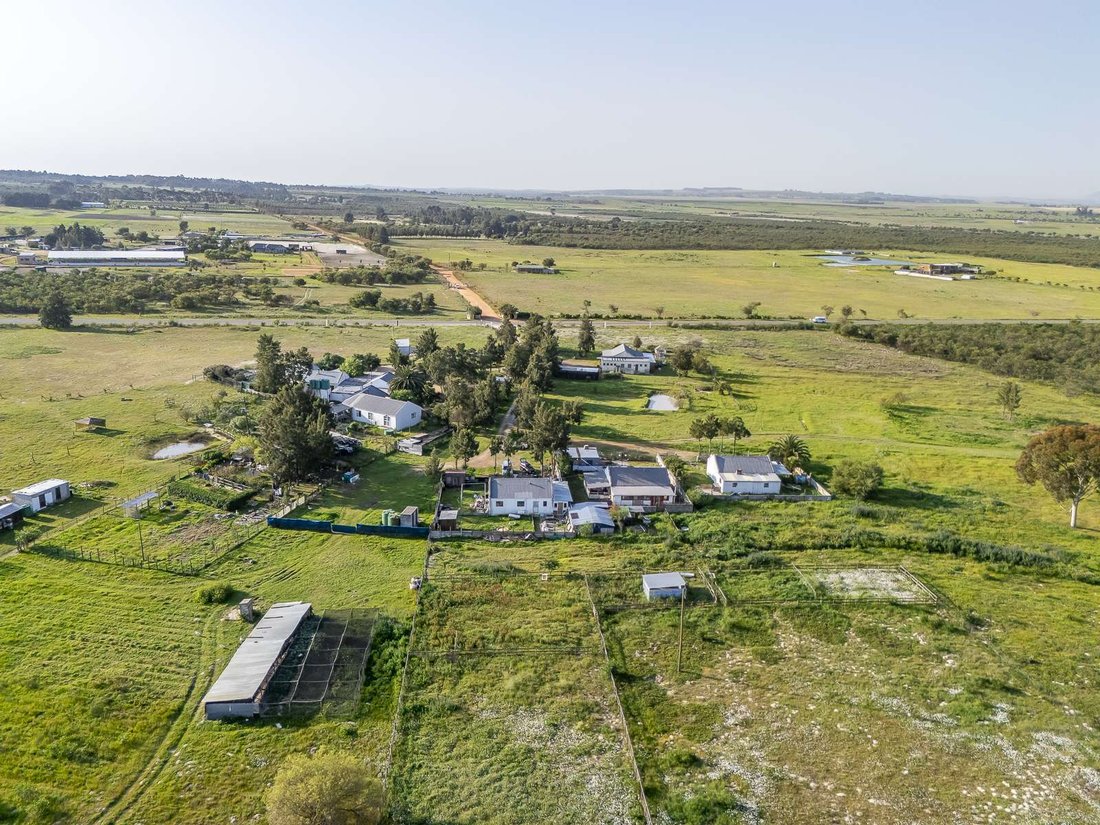 Farm Ranch in Johannesburg, Gauteng, South Africa 5 - 17250961