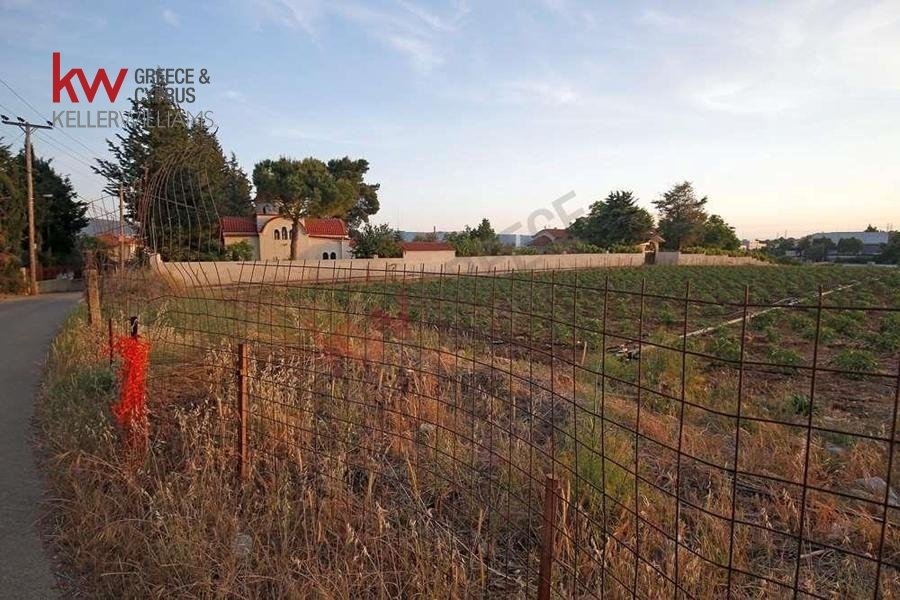 Land in Kryoneri Municipal Unit, Attica, Greece 1 - 17249936