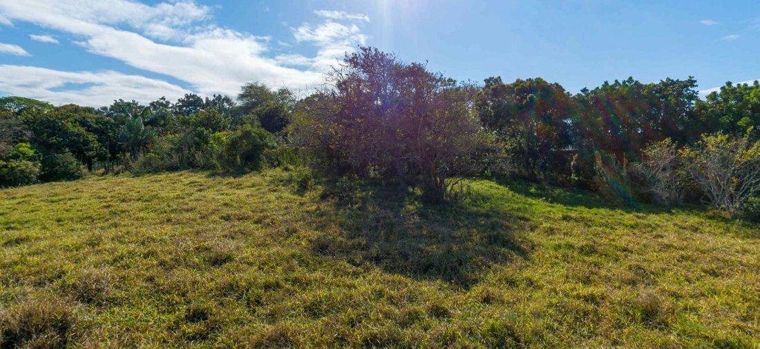 Land in Salzrock, KwaZulu-Natal, Südafrika 4 - 17250001
