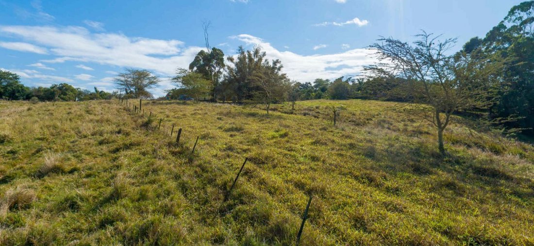 Land in Dolphin Coast, KwaZulu-Natal, South Africa 4 - 17250173