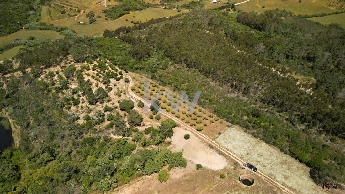 Farm Ranch in Budens, Algarve, Portugal 3 - 17252777