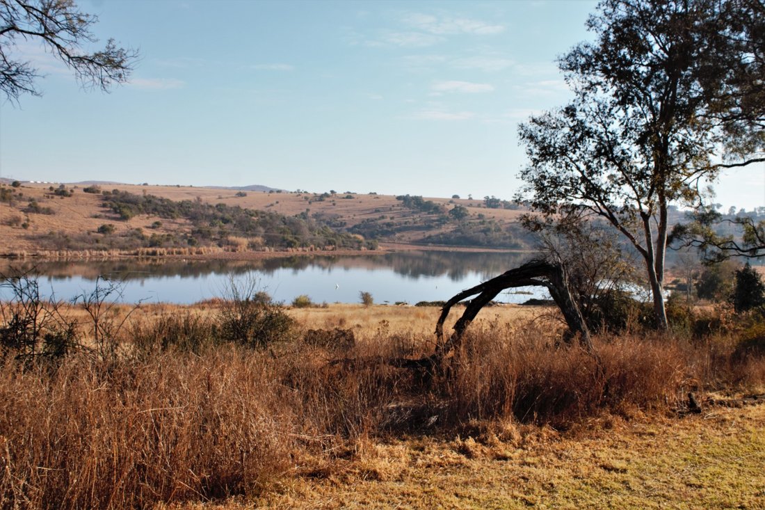 Farm Ranch in Mogale City Local Municipality, Gauteng, South Africa 4 - 17250617
