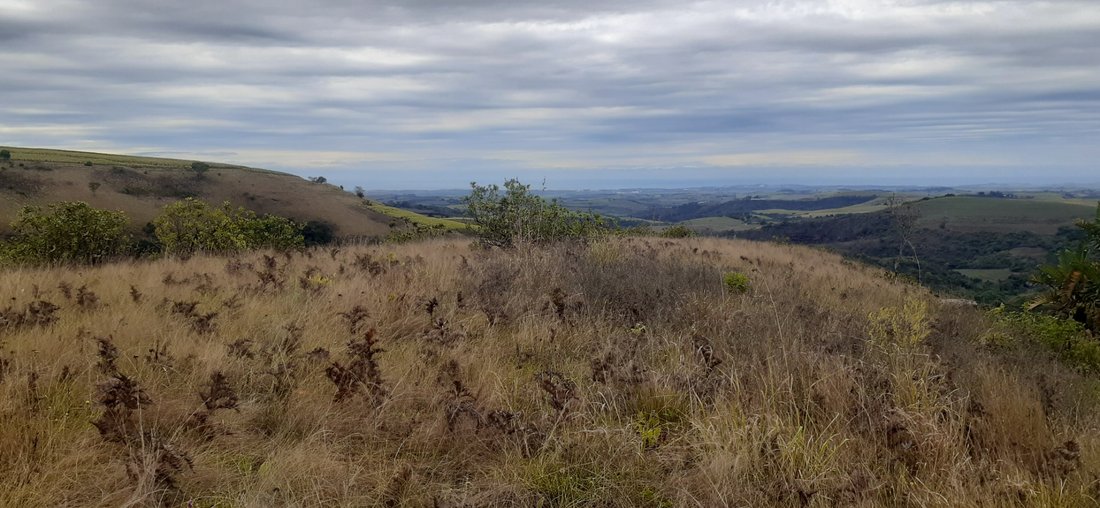 Farm Ranch in Dolphin Coast, KwaZulu-Natal, South Africa 3 - 17252961