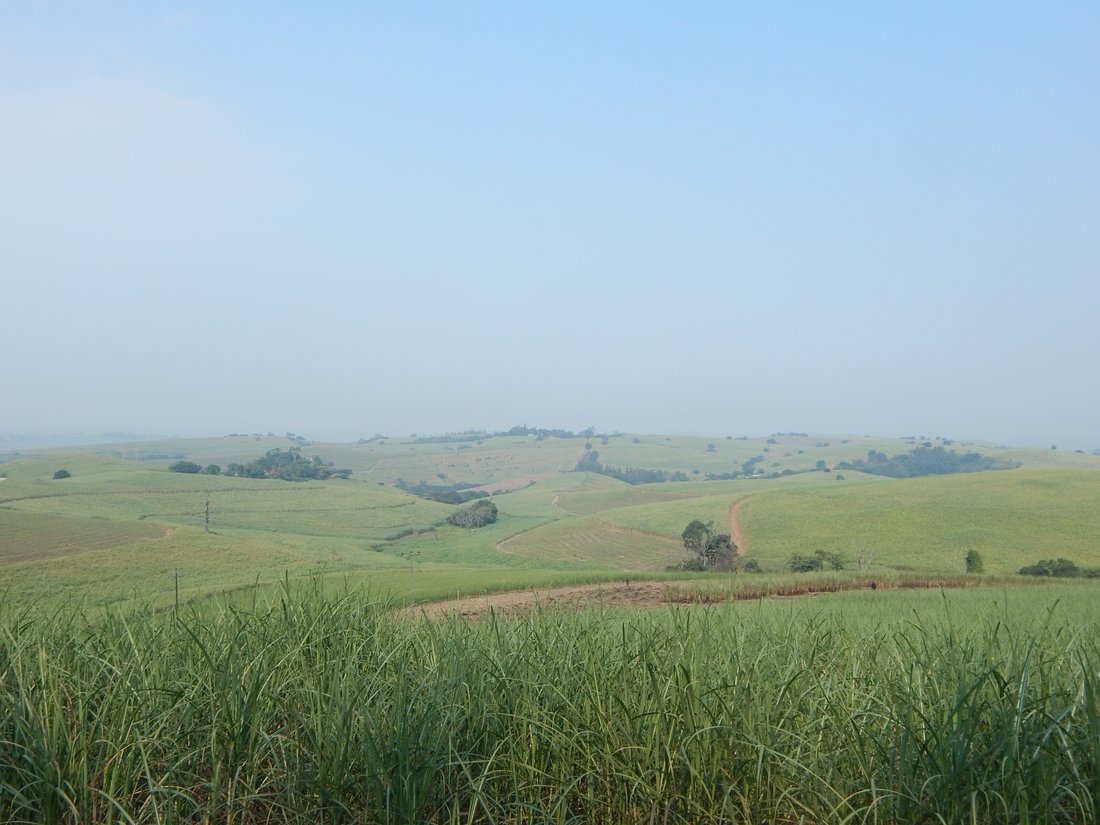 Farm Ranch in Dolphin Coast, KwaZulu-Natal, South Africa 4 - 17253156