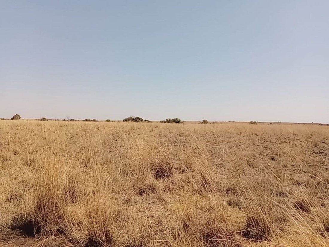 Farm Ranch in Braamfontein, Gauteng, South Africa 1 - 17252373