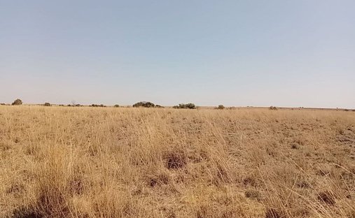 Farm Ranch in Johannesburg, Gauteng, South Africa 1