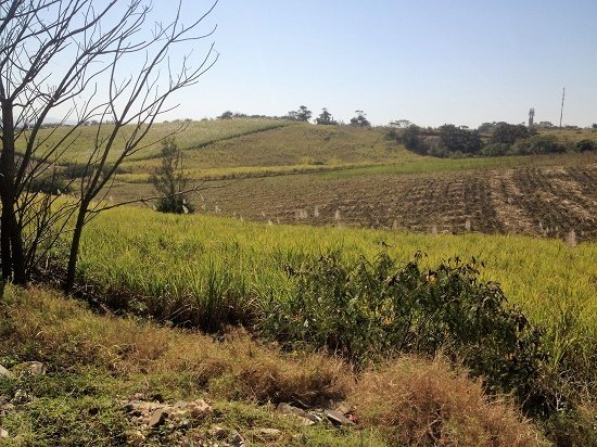 Land in Dolphin Coast, KwaZulu-Natal, South Africa 1 - 17253166