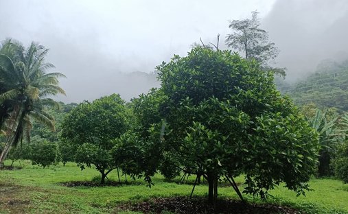 Tapah, Perak, Malaisie 1