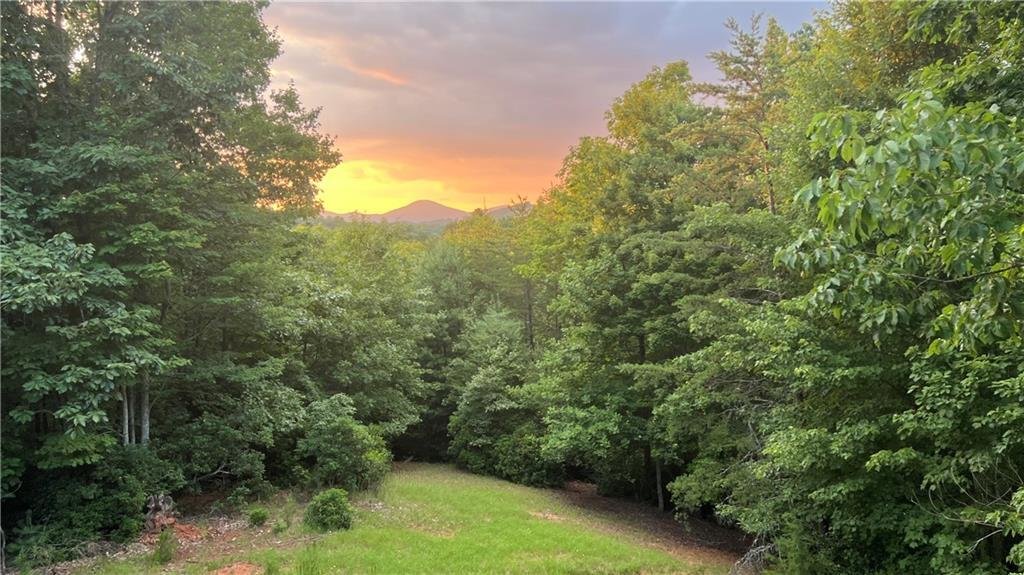 House in Dahlonega, Georgia, United States 3 - 16494677