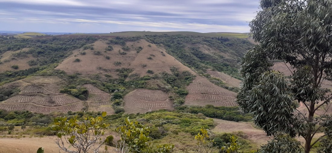 Farm Ranch in Dolphin Coast, KwaZulu-Natal, South Africa 5 - 17252961