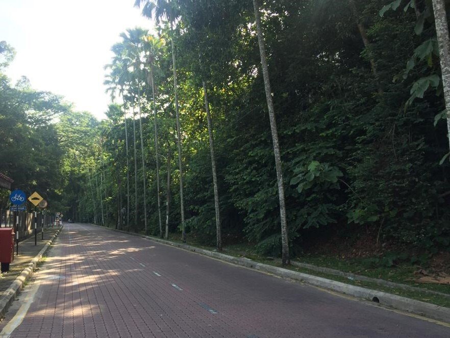 Kuala Lumpur, Federal Territory of Kuala Lumpur, Malaysia 1 - 17251366