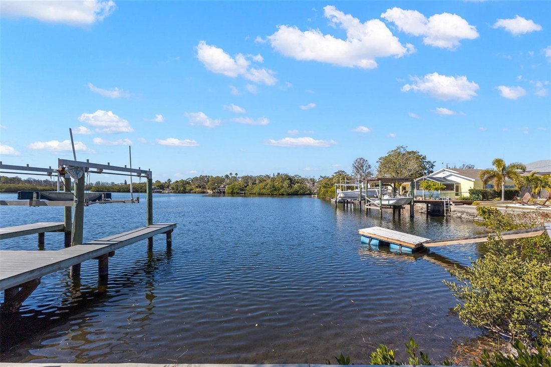 House in Holiday, Florida, United States 1 - 17248709