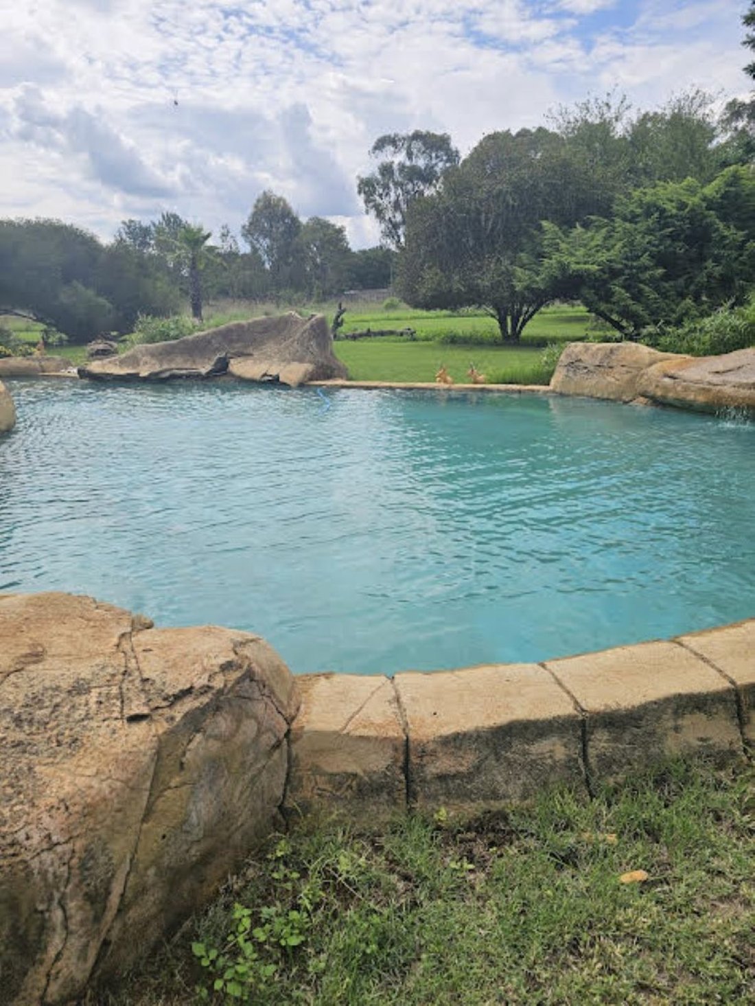 House in Rispark, Gauteng, South Africa 2 - 17248698