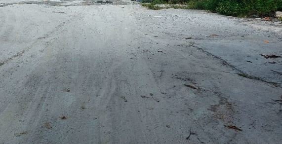 Land in Sungai Buloh, Selangor, Malaysia 4 - 17251352