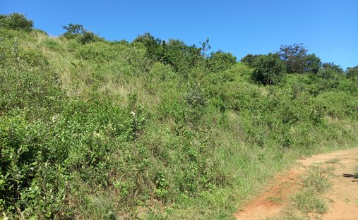 Land in Johannesburg, Gauteng, South Africa 1
