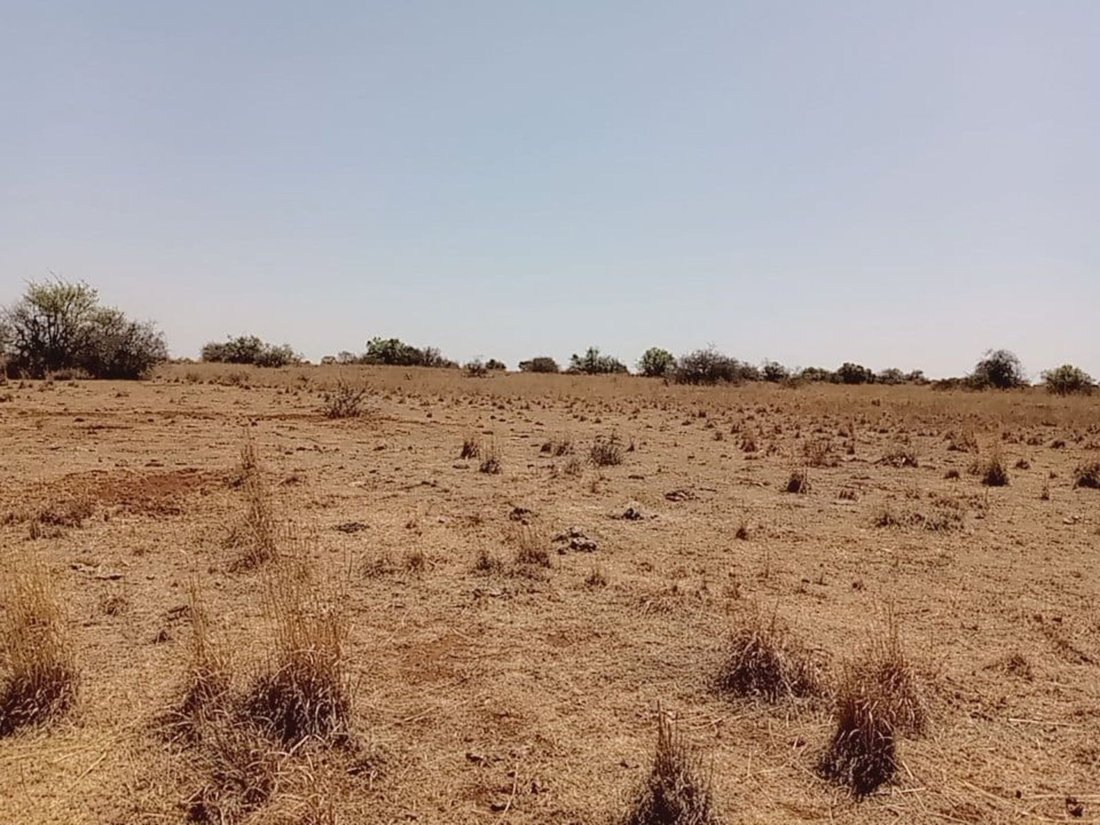 Farm Ranch in Braamfontein, Gauteng, South Africa 2 - 17252373