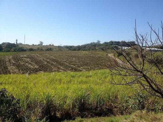 Land in Dolphin Coast, KwaZulu-Natal, South Africa 5 - 17253166