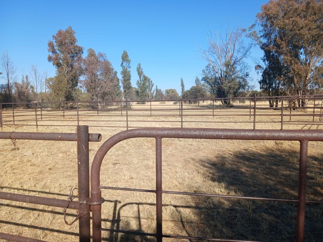 Farm Ranch in Braamfontein, Gauteng, South Africa 4 - 17252395