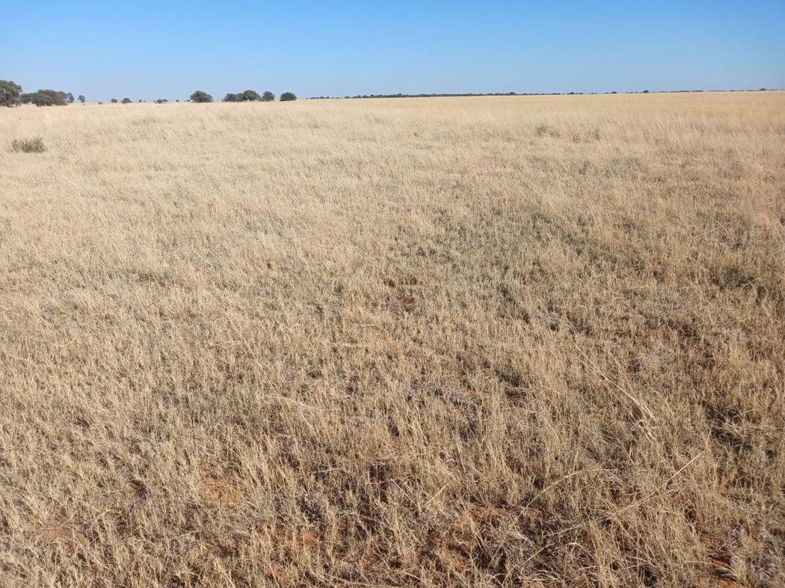 Farm Ranch in Braamfontein, Gauteng, South Africa 5 - 17252309